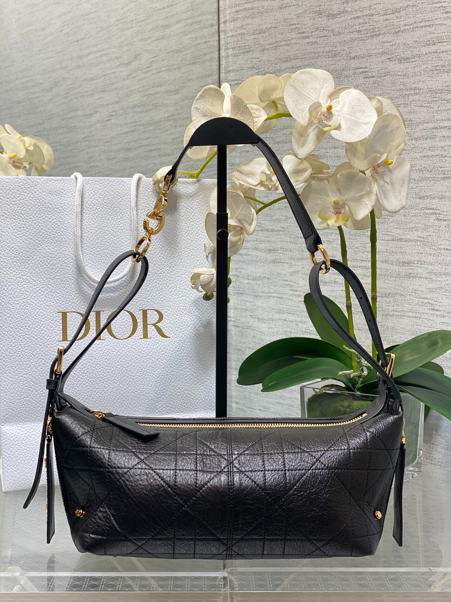 디올 디저니 호보백