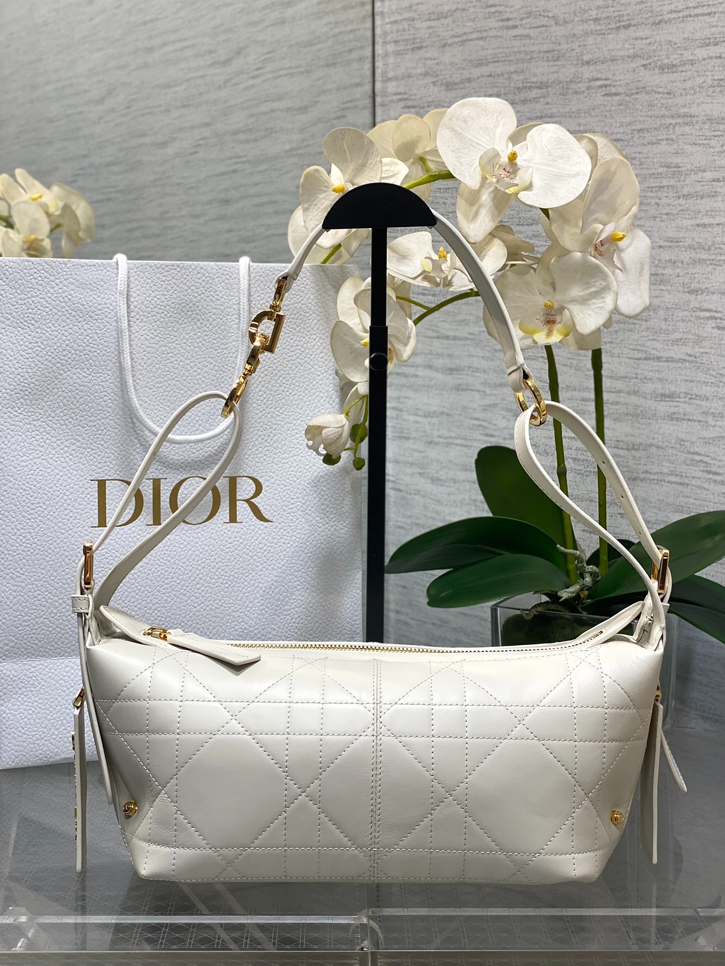 디올 디저니 호보백