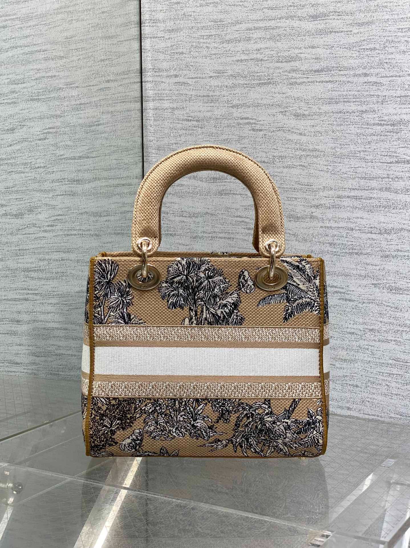 디올 디 라이트 백