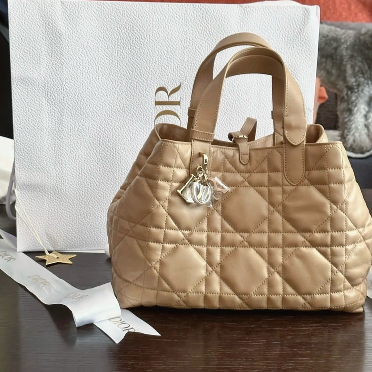 디올 Toujours 미디엄 백