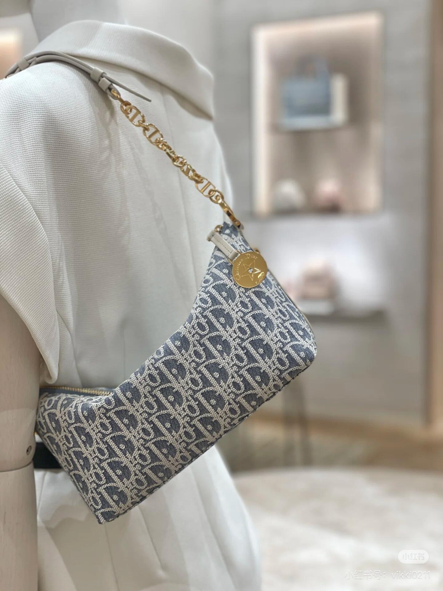 디올 오블리크 스타 페인 호보 백