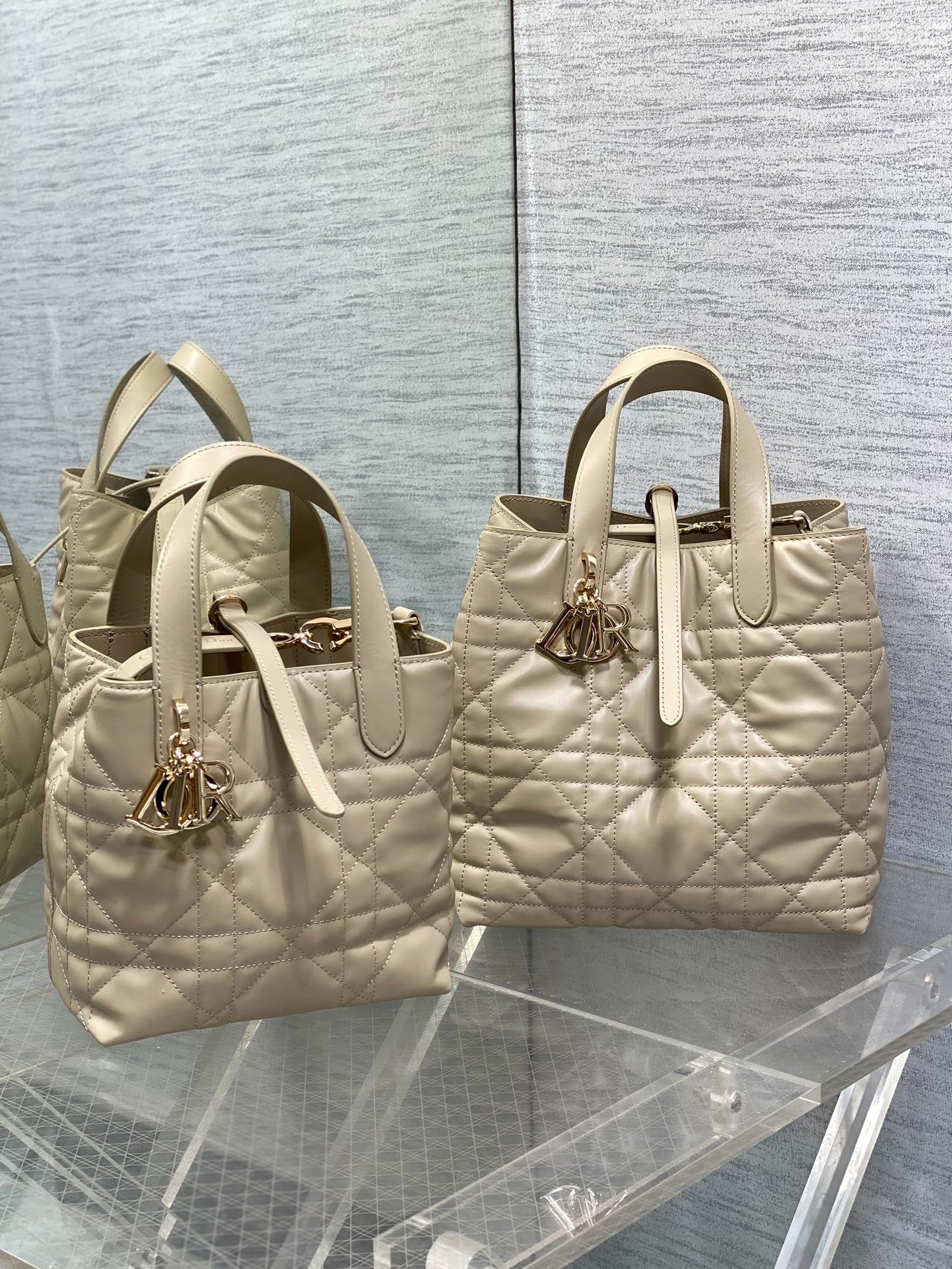 디올 뚜주흐 버티컬 토트백