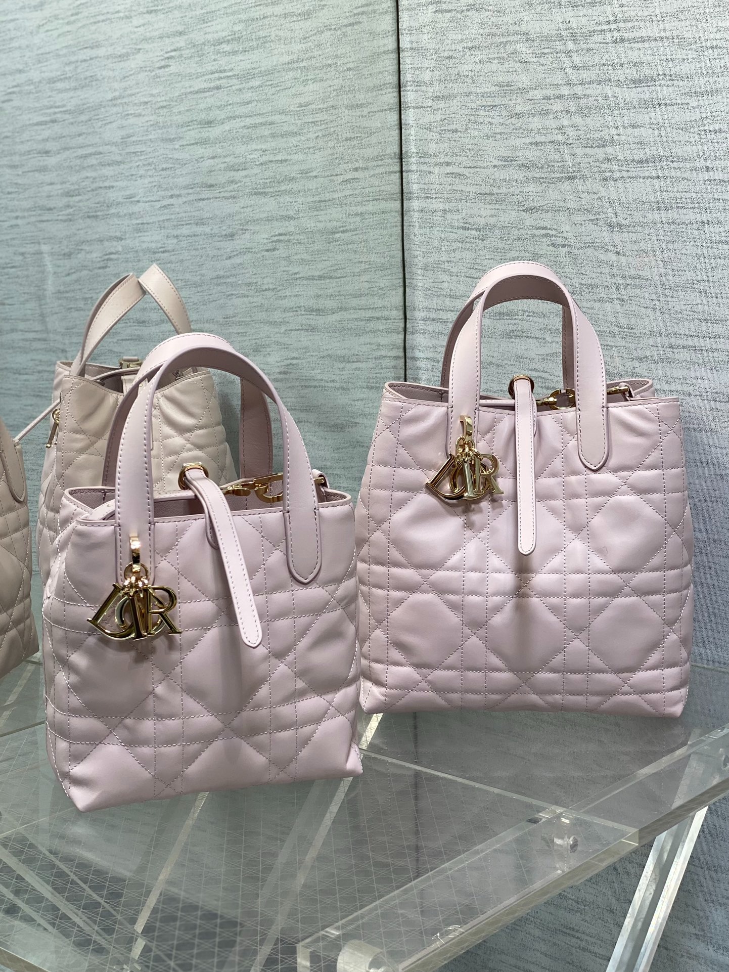 디올 뚜주흐 버티컬 토트백