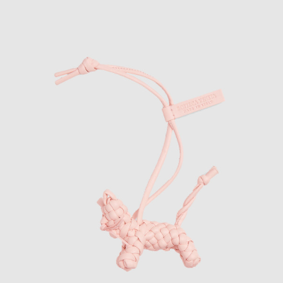 보테가 베네타 캣 참