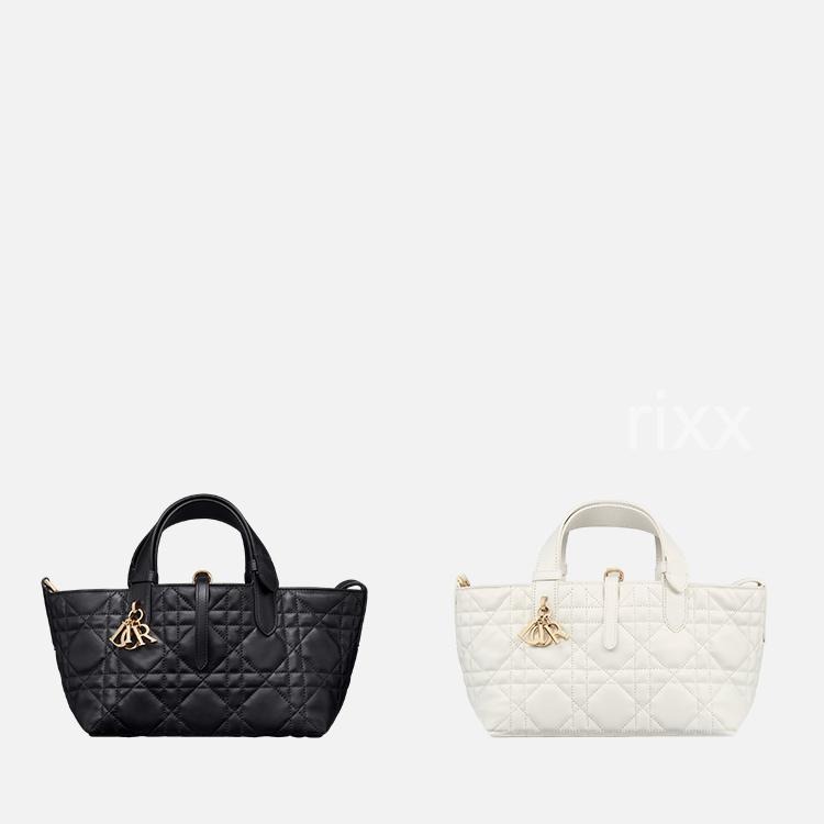 디올 Dior Toujours 송아지 가죽 스몰 백 